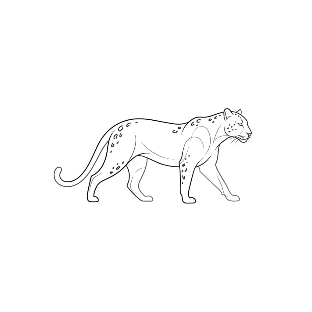 minimalista leopardo
